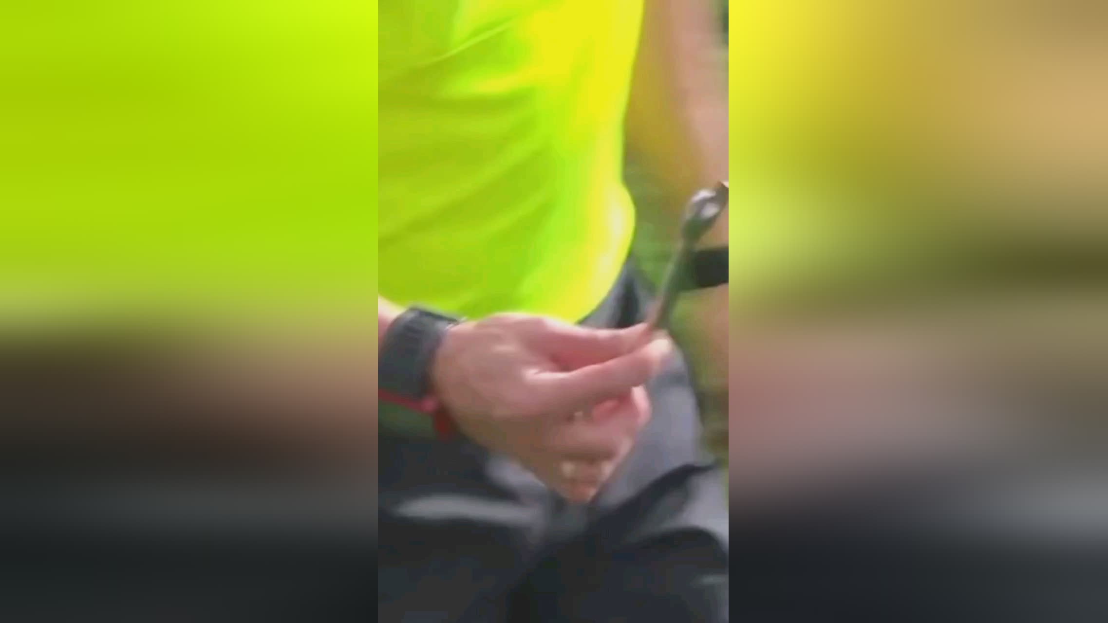 自己与